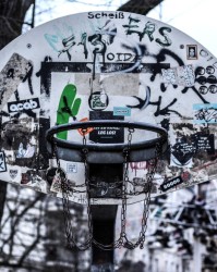 青岛无杨瀚森后光速确定四外援：续约米奇韦瑟斯庞 引进约瑟夫杨汤普森