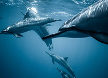 开云体育入口-开云kaiyun首页:开启智能云服务新时代